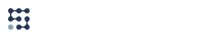 Logo Tech Savy